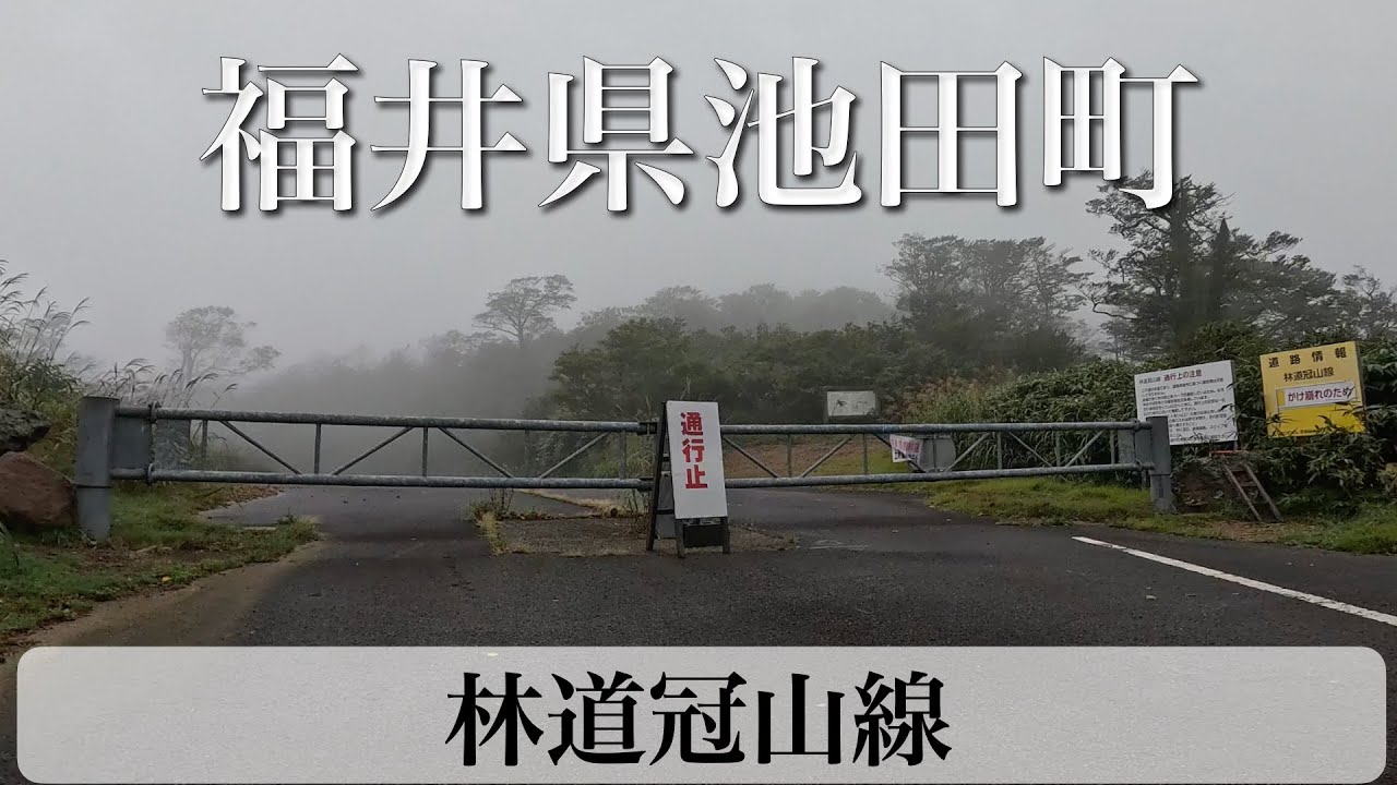 福井県池田町 林道冠山線 [4K/車載動画]