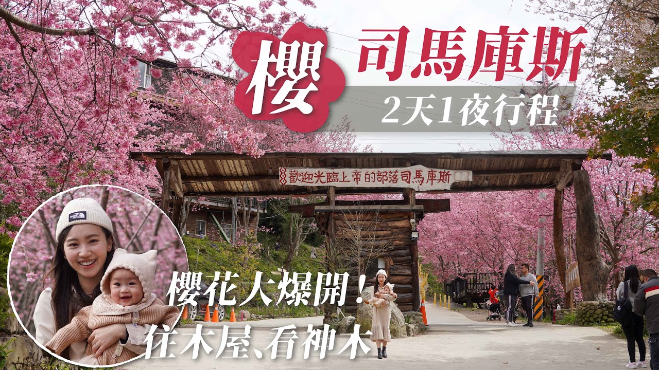 櫻的司馬庫斯｜粉紅色的上帝部落 2天1夜 絕美木屋 千年巨木 餐點推薦｜司馬庫斯櫻花花況、路況