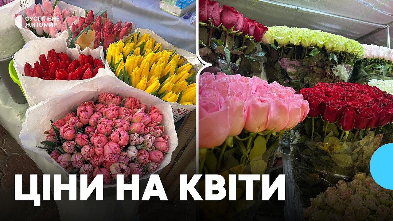 Ціни на квіти у Житомирі перед 8 березня 2026: тюльпани, троянди, крокуси, гвоздики
