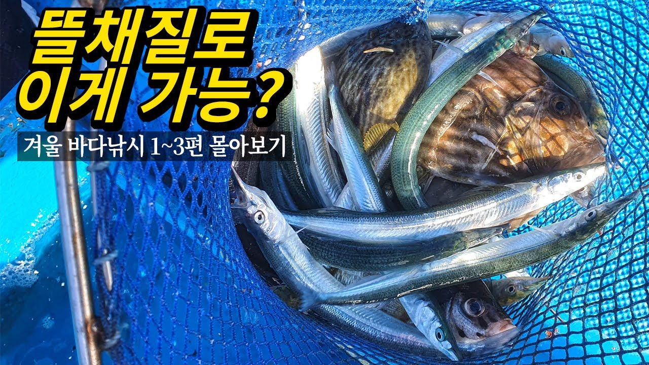 거문도에서 겨울바다의 산해진미를 낚아보자!(겨울 바다낚시 몰아보기)