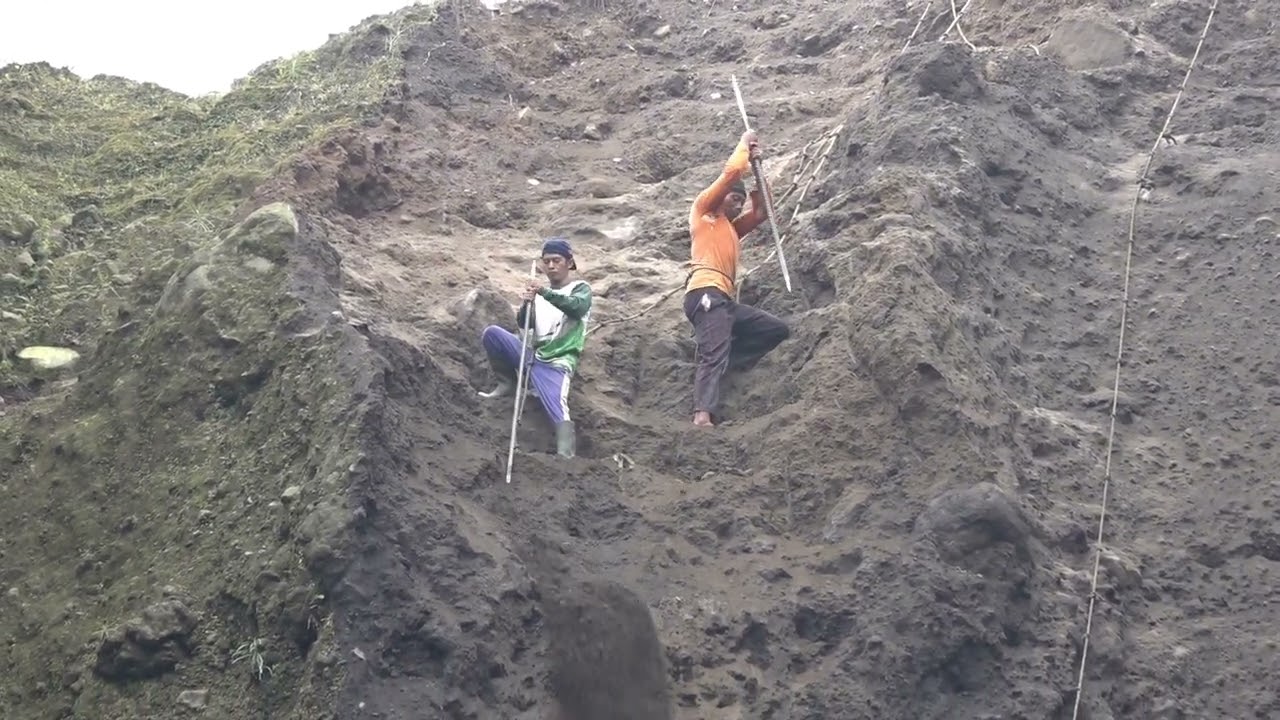 mining the sand cliffs, they were very happy that the sand was sold
