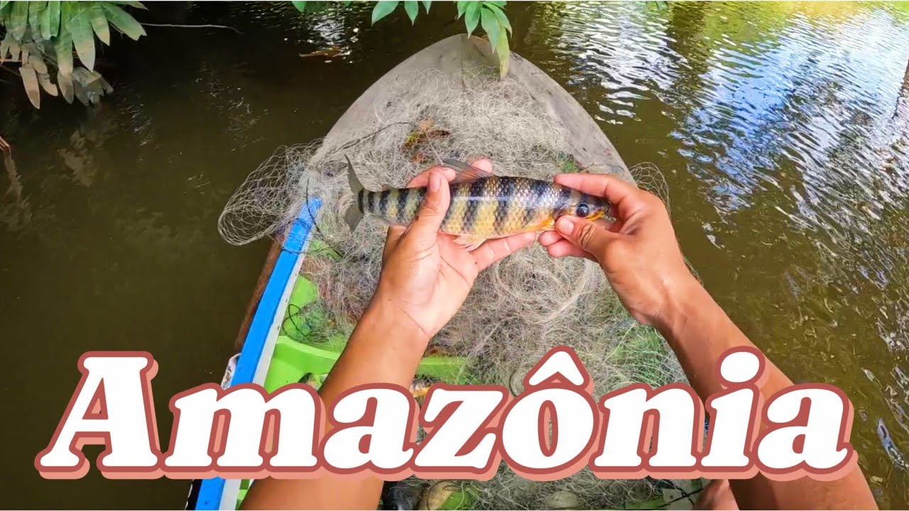 Pesca de piau e outros peixes, vejam! 
