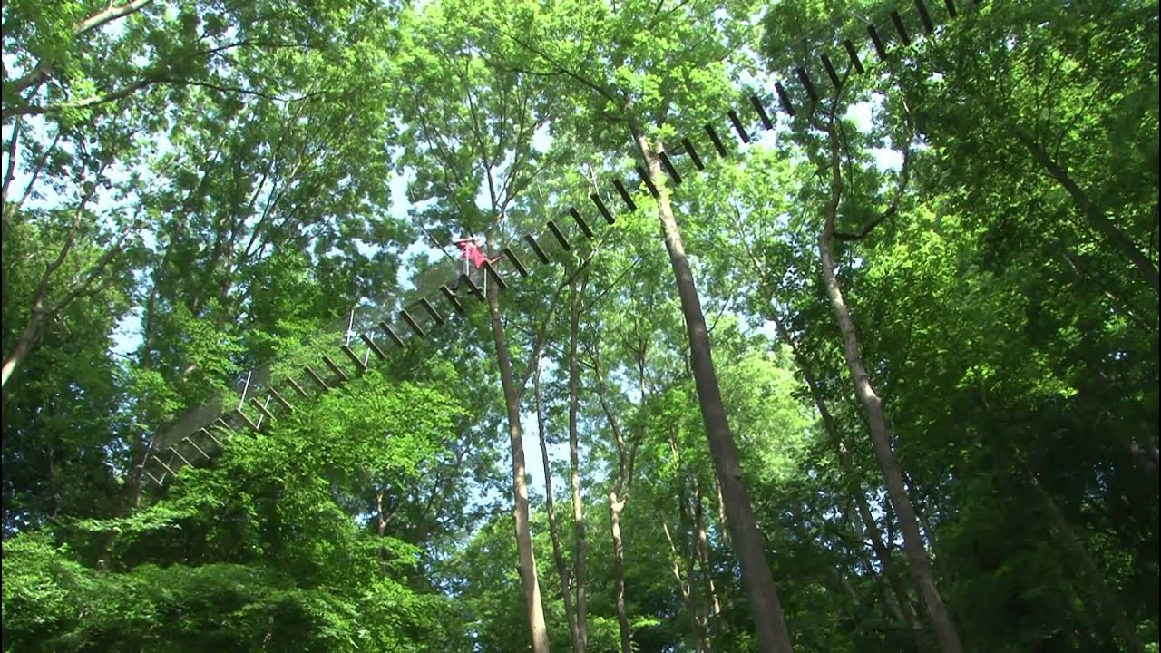 Woody Park - Parc de loisirs - Fecamp Normandie