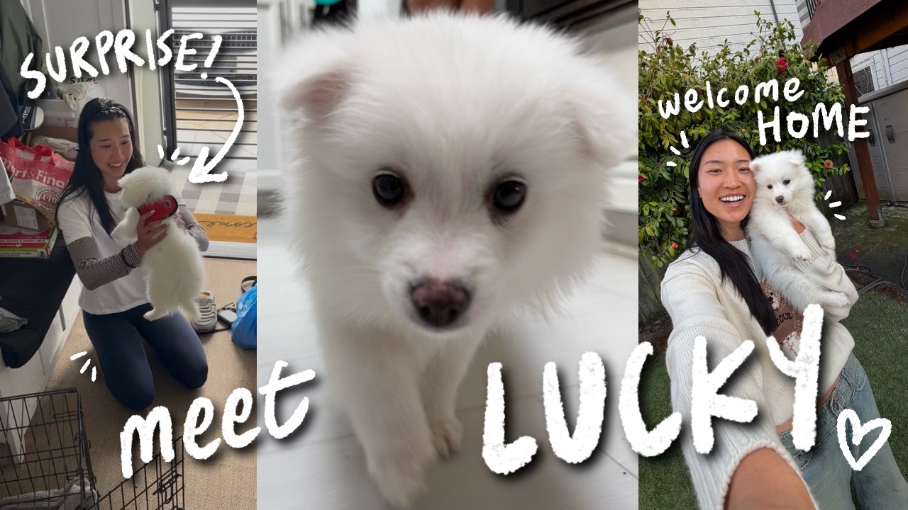 У нас появился щенок!!! Первые несколько дней Лаки дома 🏡🐾 *сюрприз-видеоблог*