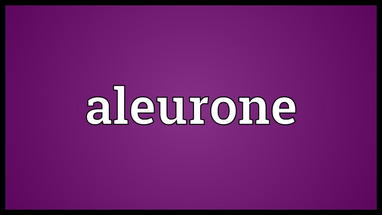 Aleurone Meaning