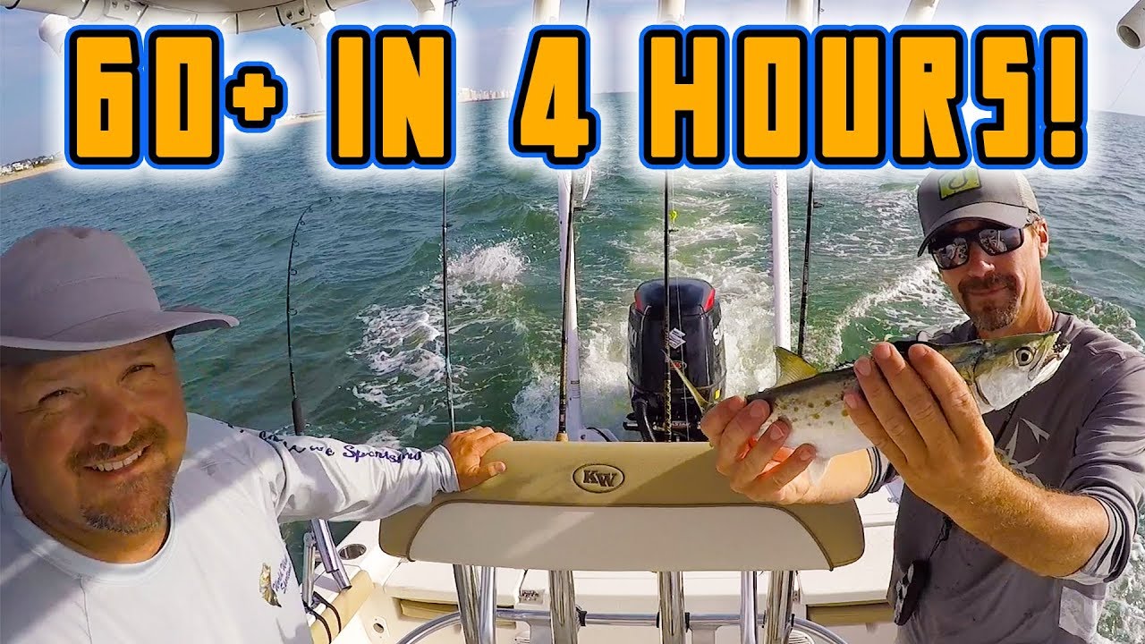 How To Troll for Spanish Mackerel