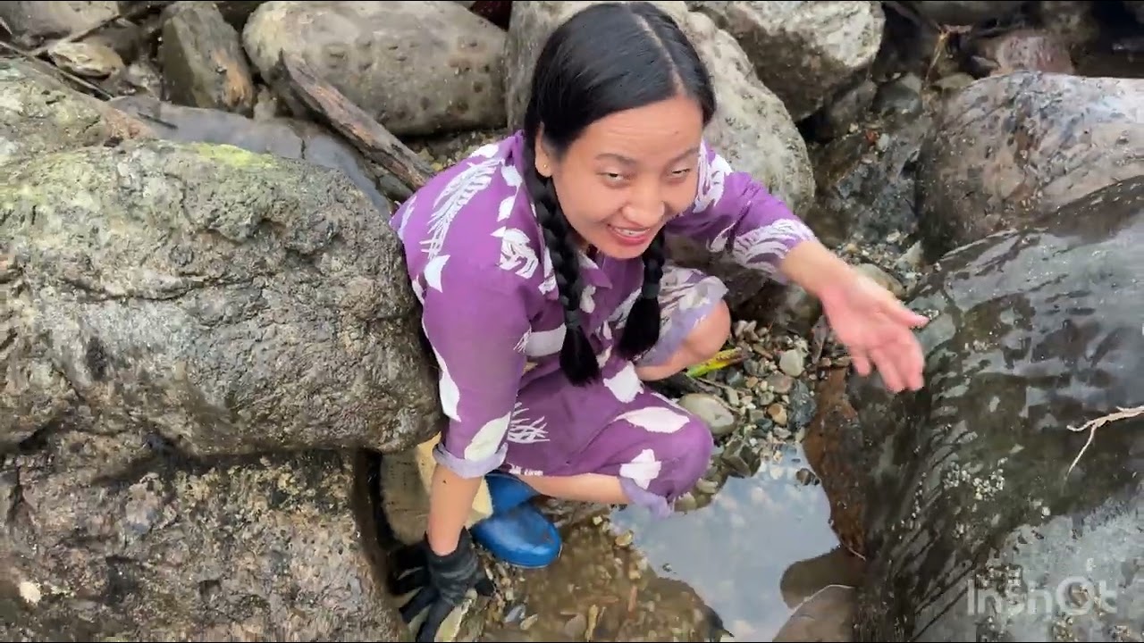  Bane Hibok ( Traditional way of fishing) 🐠 #Arunachal pradesh 🇮🇳
