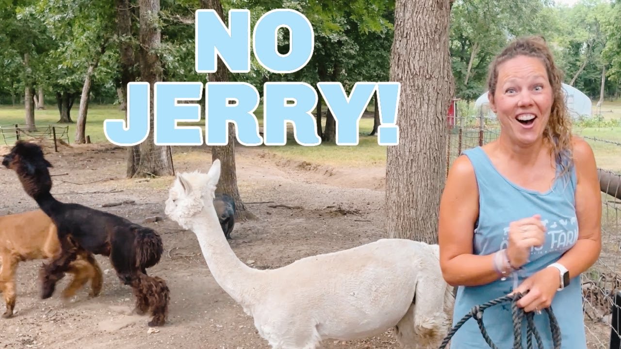 Jerry is in LOVE!
