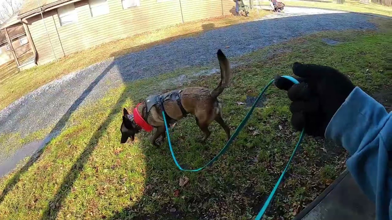 Buddy NW3 Exterior @ Elks Camp Barrett - Annapolis, MD 12/6/25