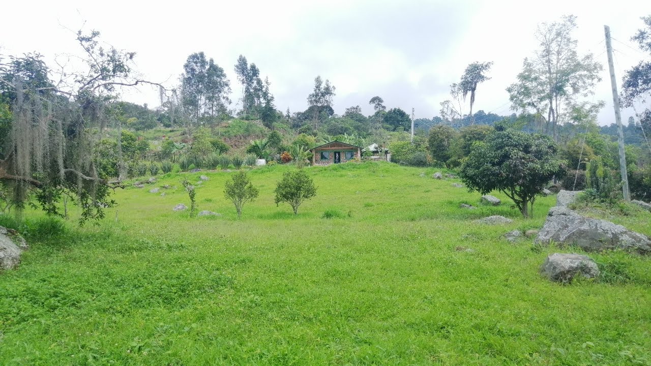 Venta Finca 1 Fanegada En Pacho Casa Nueva valor $465 millones