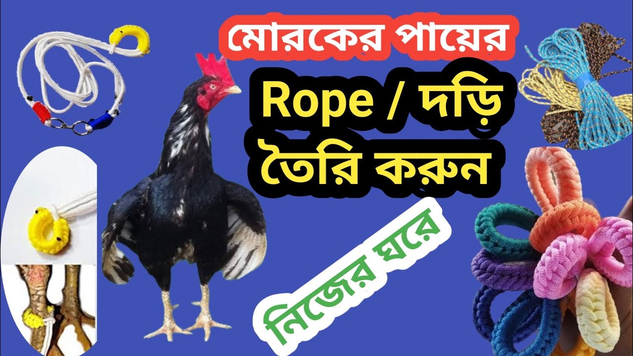 আসিল মোরগের পায়ের rope/রশি কিভাবে নিজে তৈরি করবেন।morga Bandar Roshi.#aseel #বাধাঁর