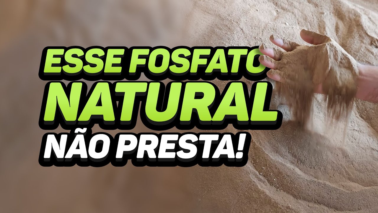 FOSFATO NATURAL: QUAL ESCOLHER PARA ADUBAÇÃO?