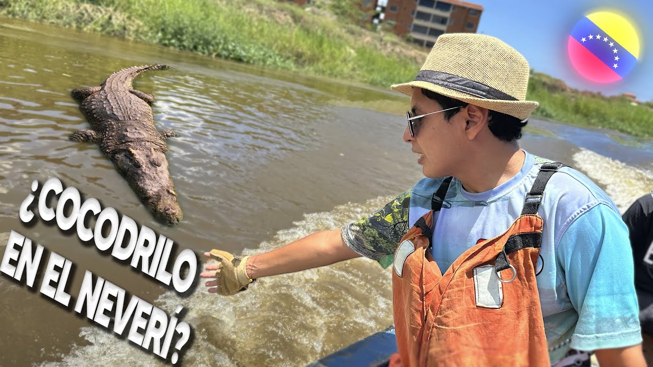 Bajo los PUENTES DE BARCELONA: 🐊 Te sorprenderá lo que vimos 🏰
