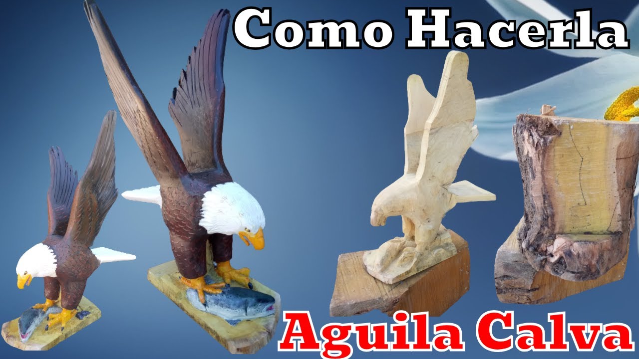 Arte Cultura y Tradiciones, Como Hacer un Aguila Americana