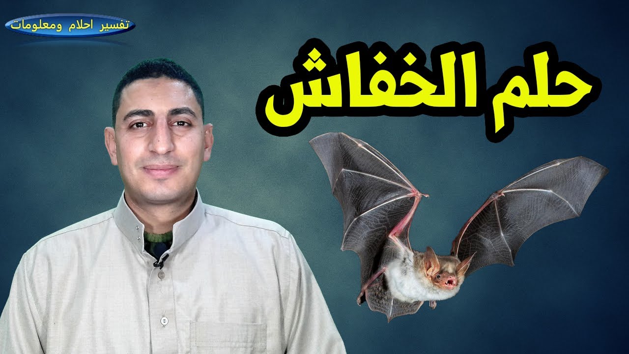 ماذا يدل حلم الخفاش ودخول الخفاش البيت وعضة الخفاش واكل الخفاش وحلم الوطواط !!