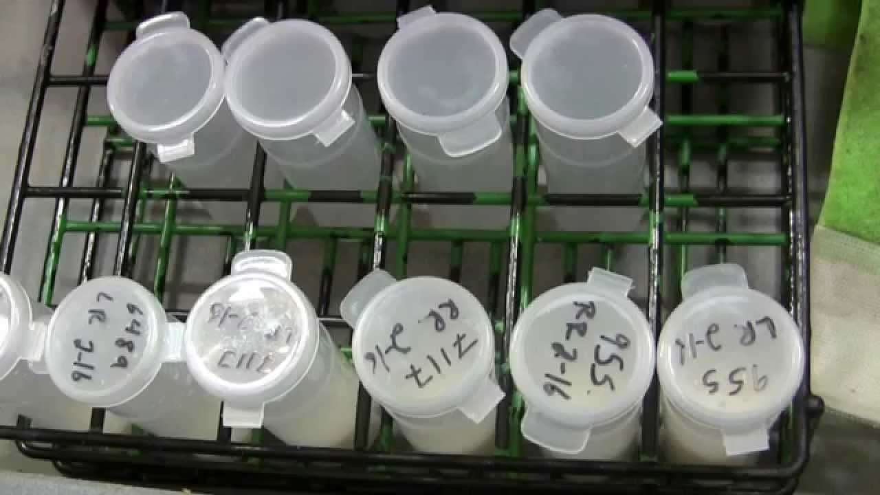 5. How to Collect an Aseptic Milk Sample