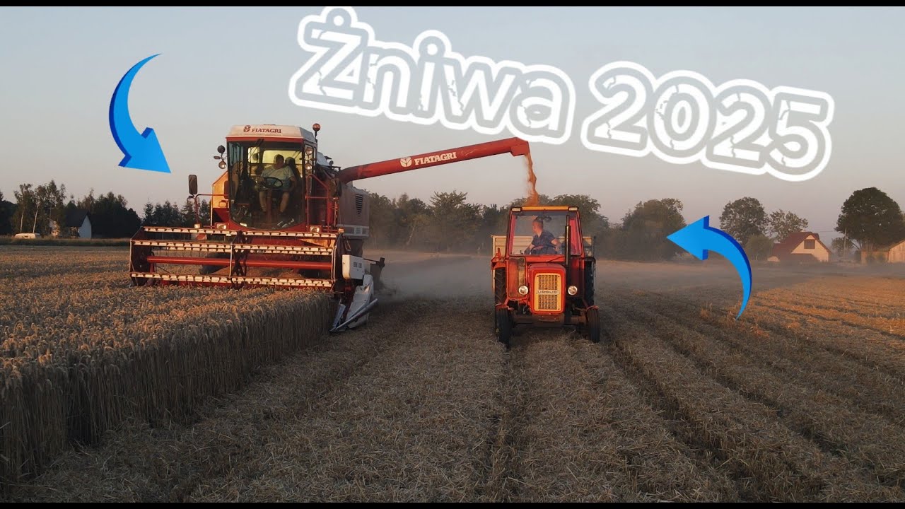 🚜ŻNIWA 2025🚜FIATAGRI LAVERDA 3500🚜|C360🚜NEWHOLLAND🚜ZETOR🚜|GR_ŻABA|