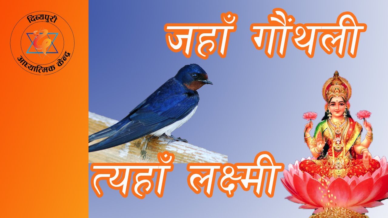 गौंथली घरमानै किन बस्छ ? (Gauthaliko Katha) || Dibyapuri TV