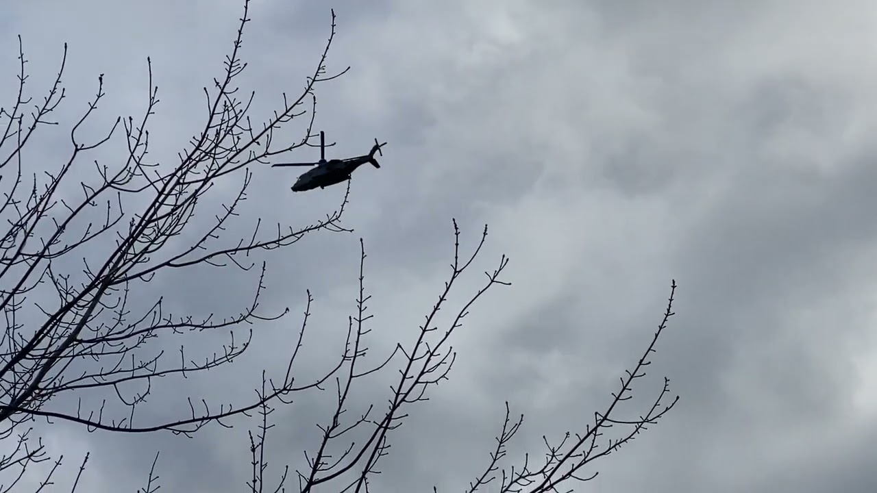 CH-148 Cyclone over Sidney