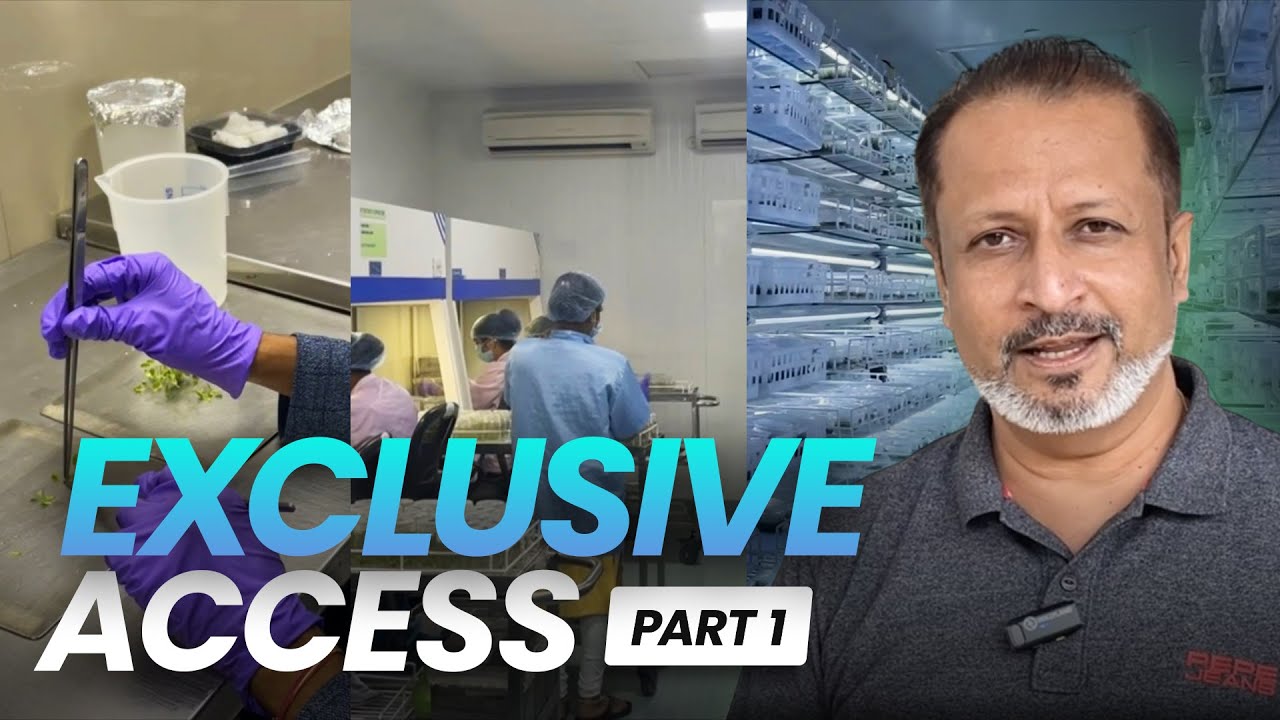 Exclusive Access! Behind The Scenes At The Still Water Aquatics Farm | Part 1
