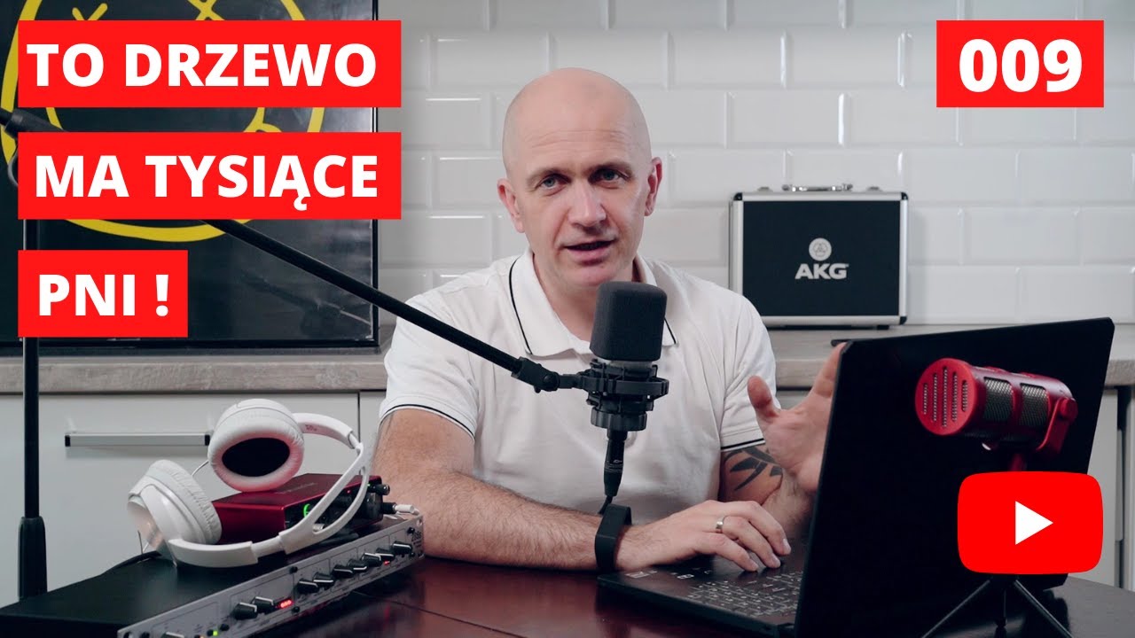 Drzewo o tysiącach pni. I inne niezwykłe drzewa.