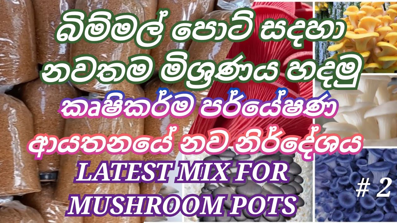How to make the latest mix for mushroom pots / බිම්මල් පොට් සඳහා හොඳම මිශ්‍රණය හදමු /new recipe