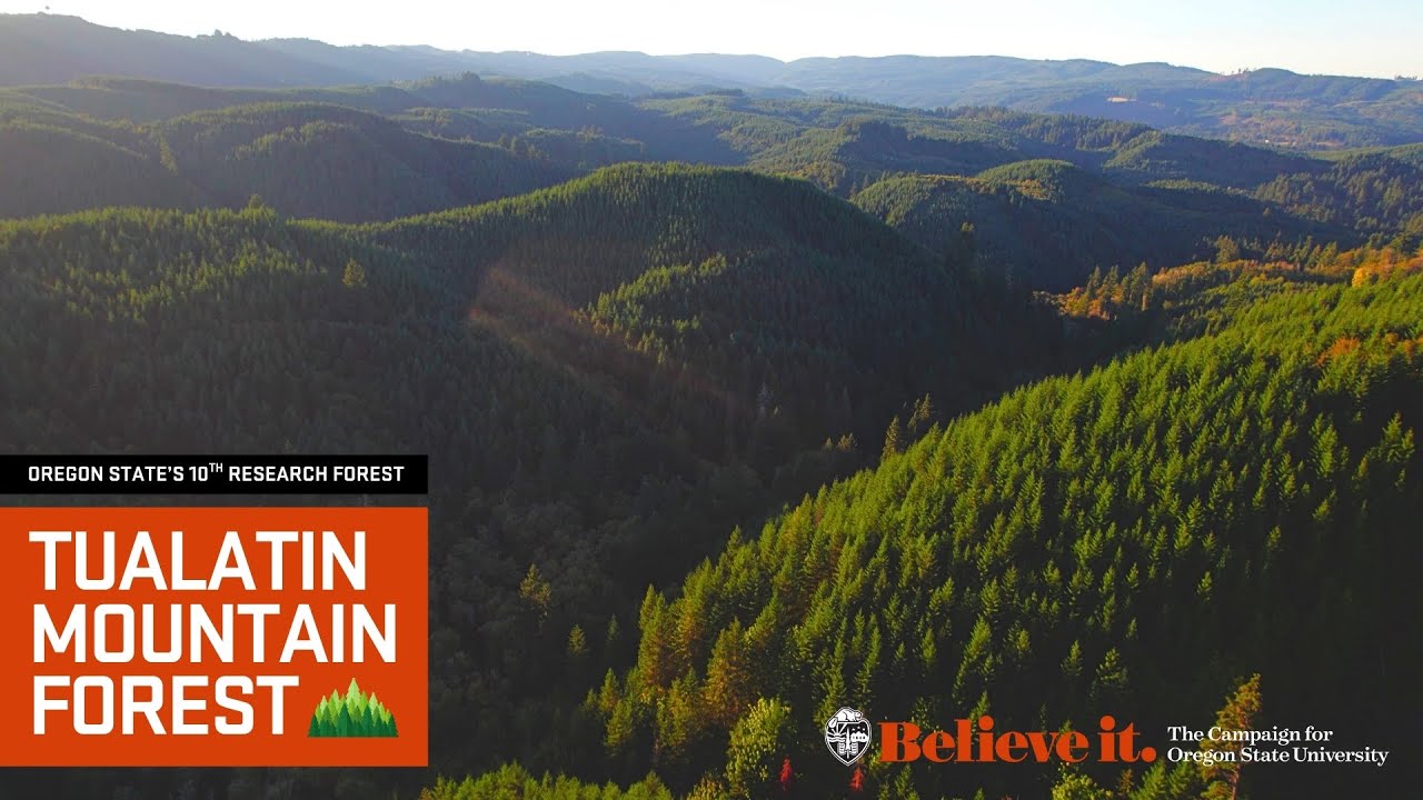 Tualatin Mountain Forest: Oregon State's 10th Research Forest