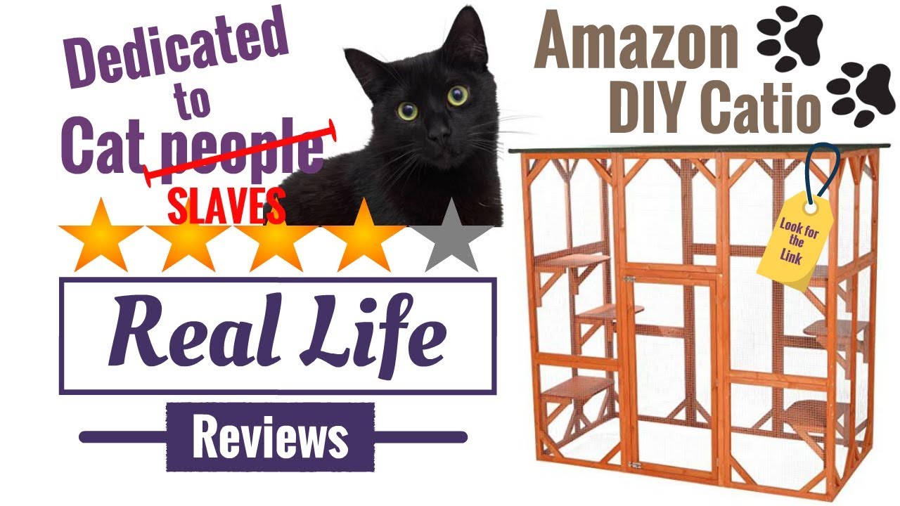 In depth Amazon Catio Real Life Review
