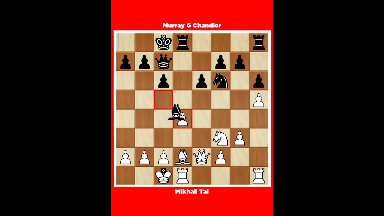 Mikhail Tal vs Murray G Chandler √ It (cat.19) 1992, Wijk Aan Zee (Netherland).