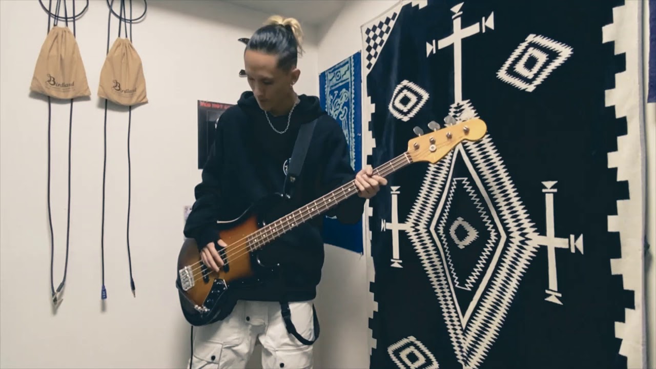 Red Hot Chili Peppers - Dark Necessities Bass Cover