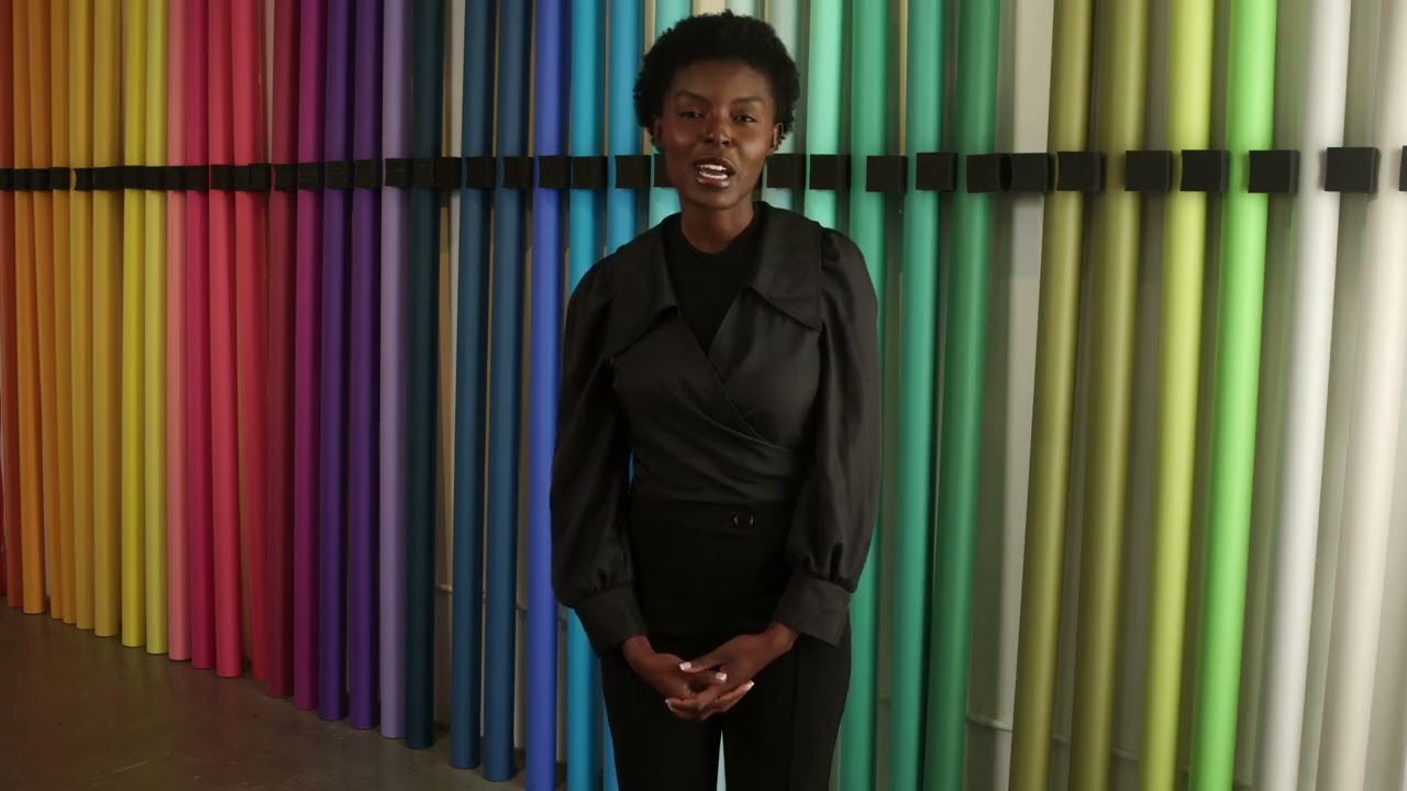 How Do Bold Startup Creators Turn Ideas Into Movements?