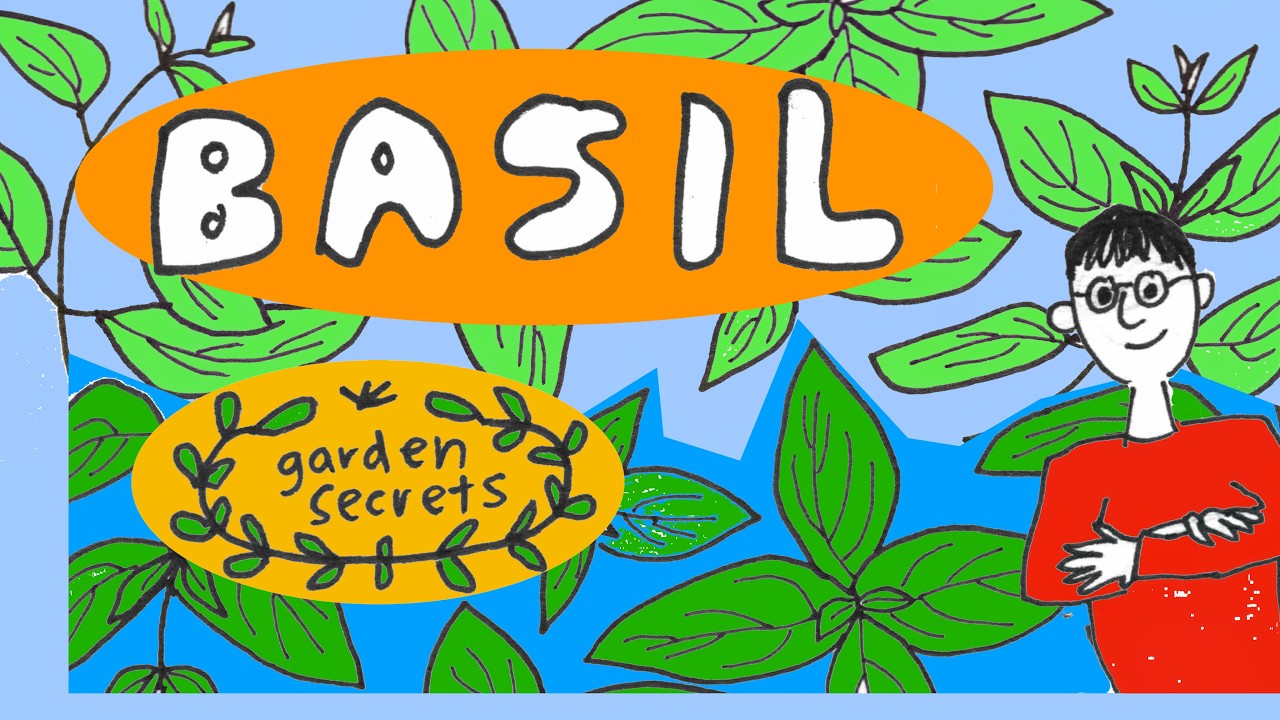 Master Gardener Tips to Grow a Bounty of Basil