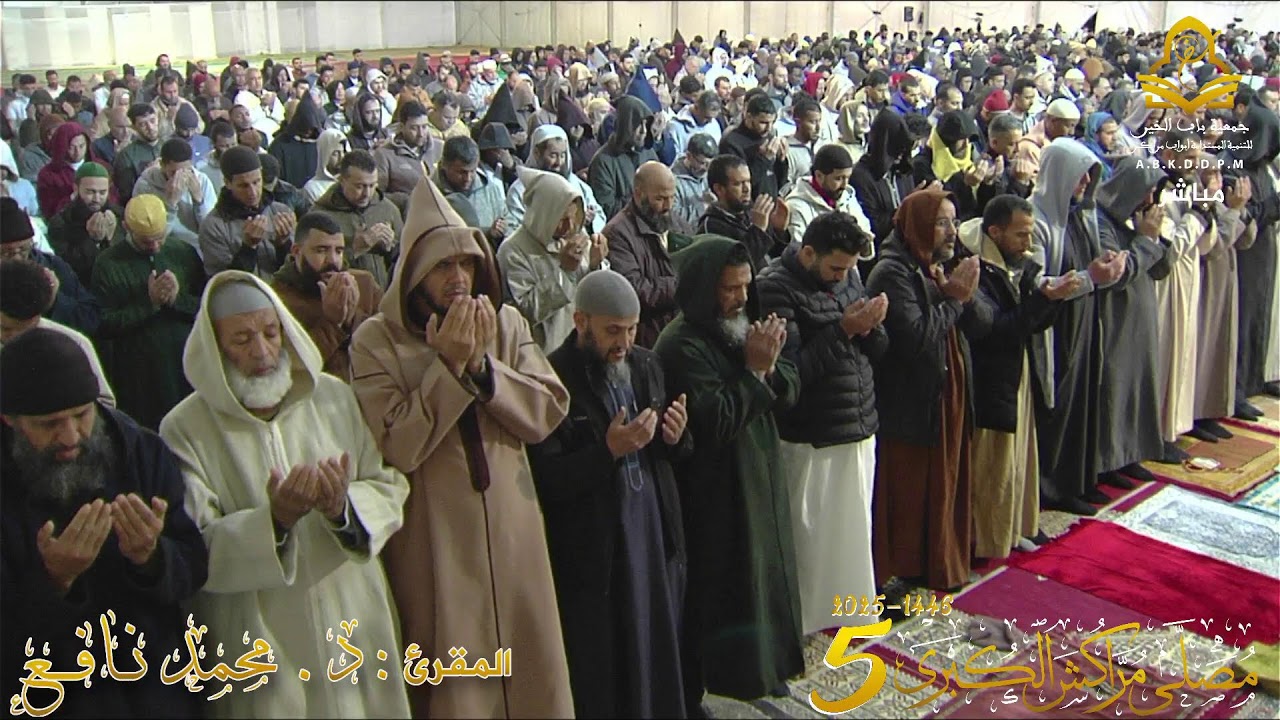 البث المباشر.. قيام ليلة الإثنين 23 رمضان 1446هـ/ 24 مارس 2025م مع المقرئ د. محمد نافع