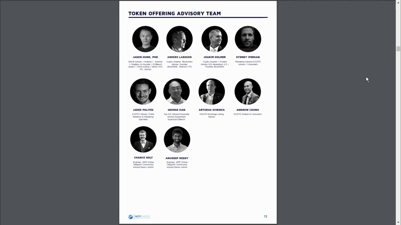 WPP ENERGY - разбор WhitePaper проекта