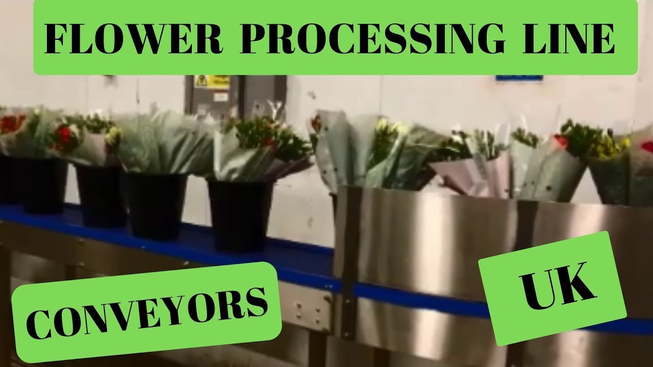 Automated Flower Processing Line Machines with Conveyors UK