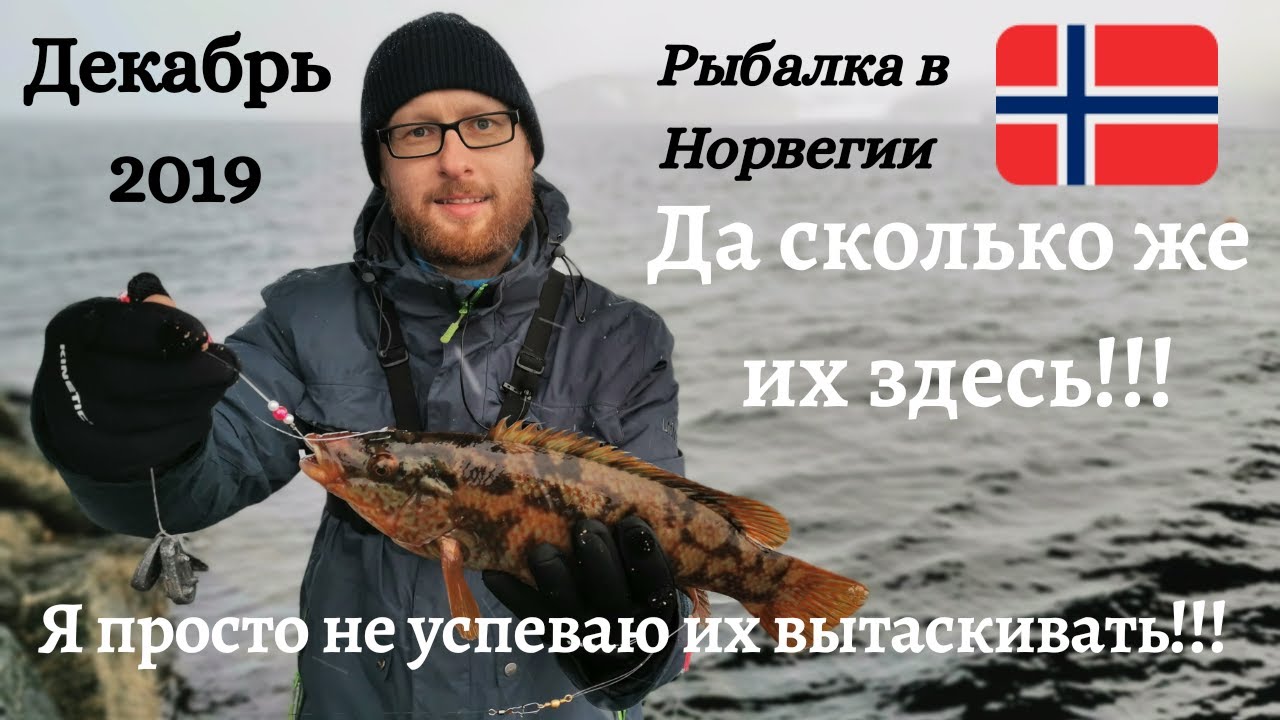 Рыбалка в Норвегии! Килограмовые Губаны почти на каждом забросе! Рыбалка в декабре! Рыбалка зимой!