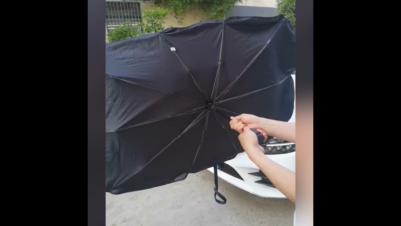 Car Umbrella 2
