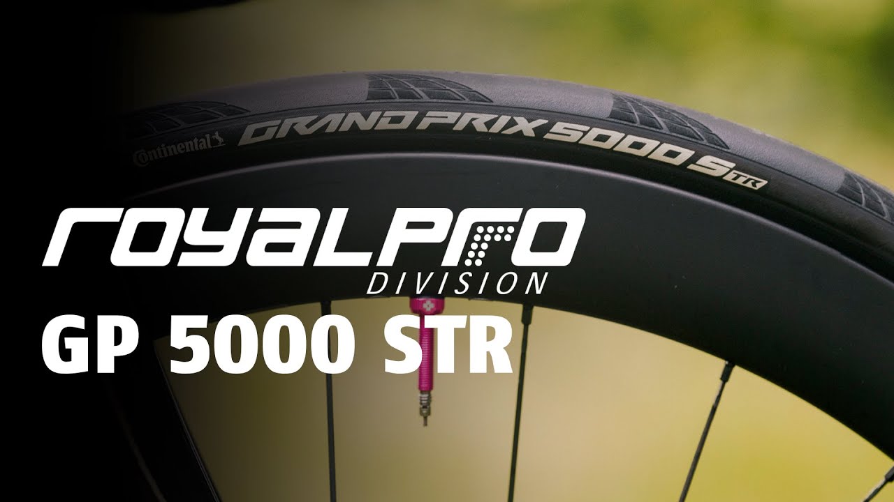 CONTINENTAL - PNEU 5000 STR - Royal Pro Division