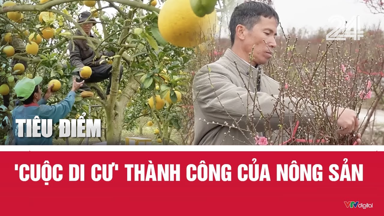 Tiêu điểm: 'Cuộc di cư' thành công của nông sản | VTV24