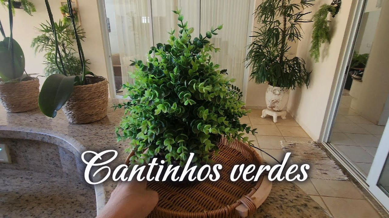 Minhas plantas naturais e algumas artificiais