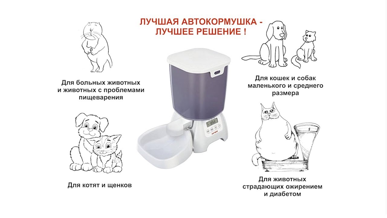 Автокормушка для кошек и собак CAT MATE C3000. Пример настройки на одно кормление в сутки.