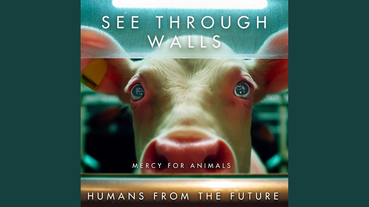 See Through Walls #MercyForAnimals