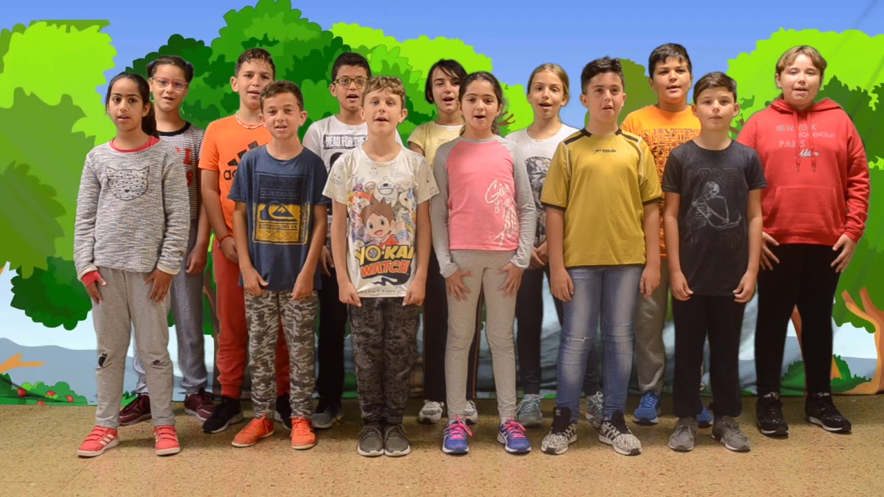 LA FAMILLE TORTUE - QUINTO B