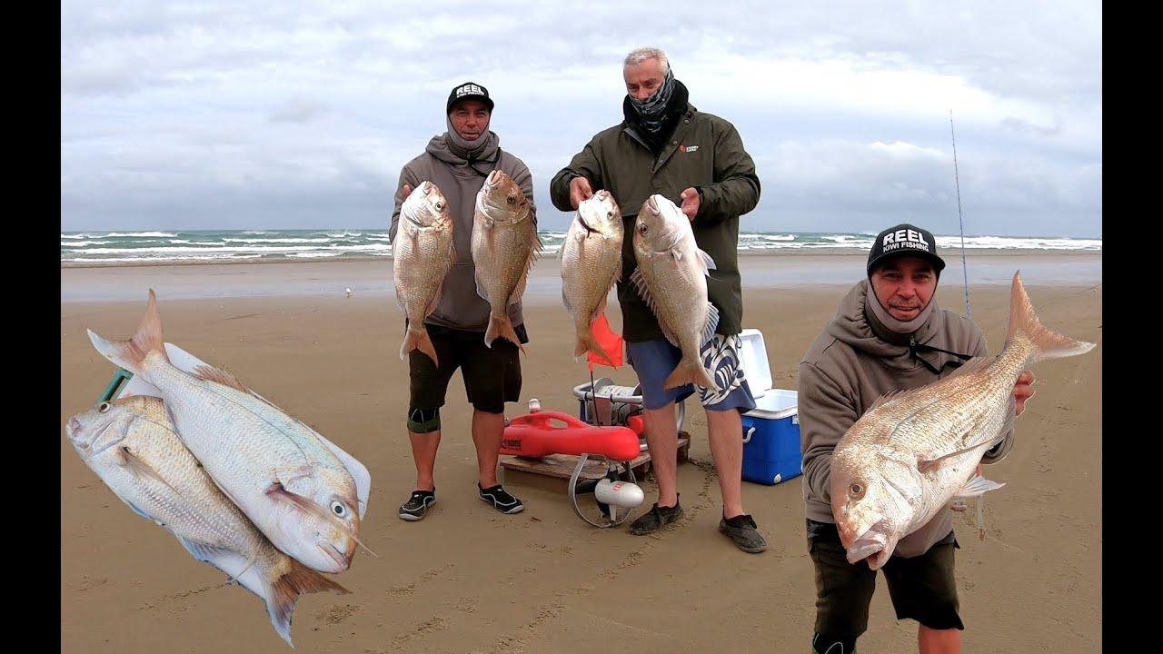 A big snapper day on the mighty 90 - kontiki fishing the west coast of NZ