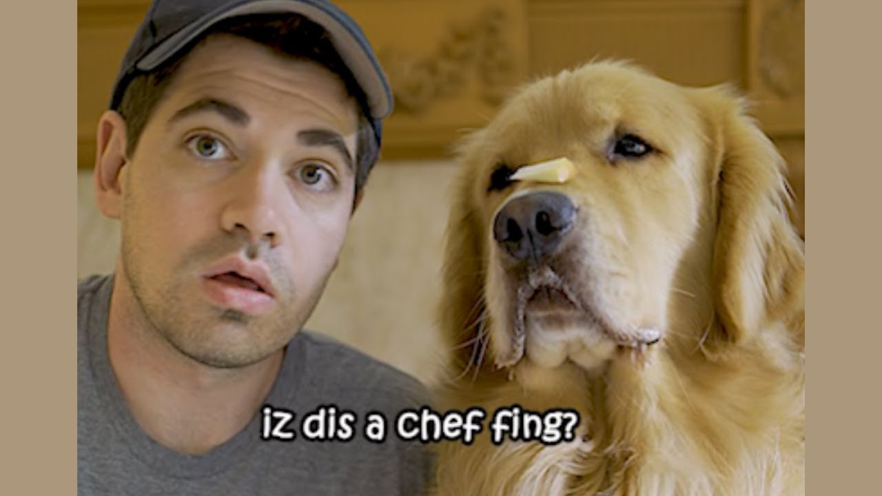 Marley reviews new restaurant and its not up to scratch!!