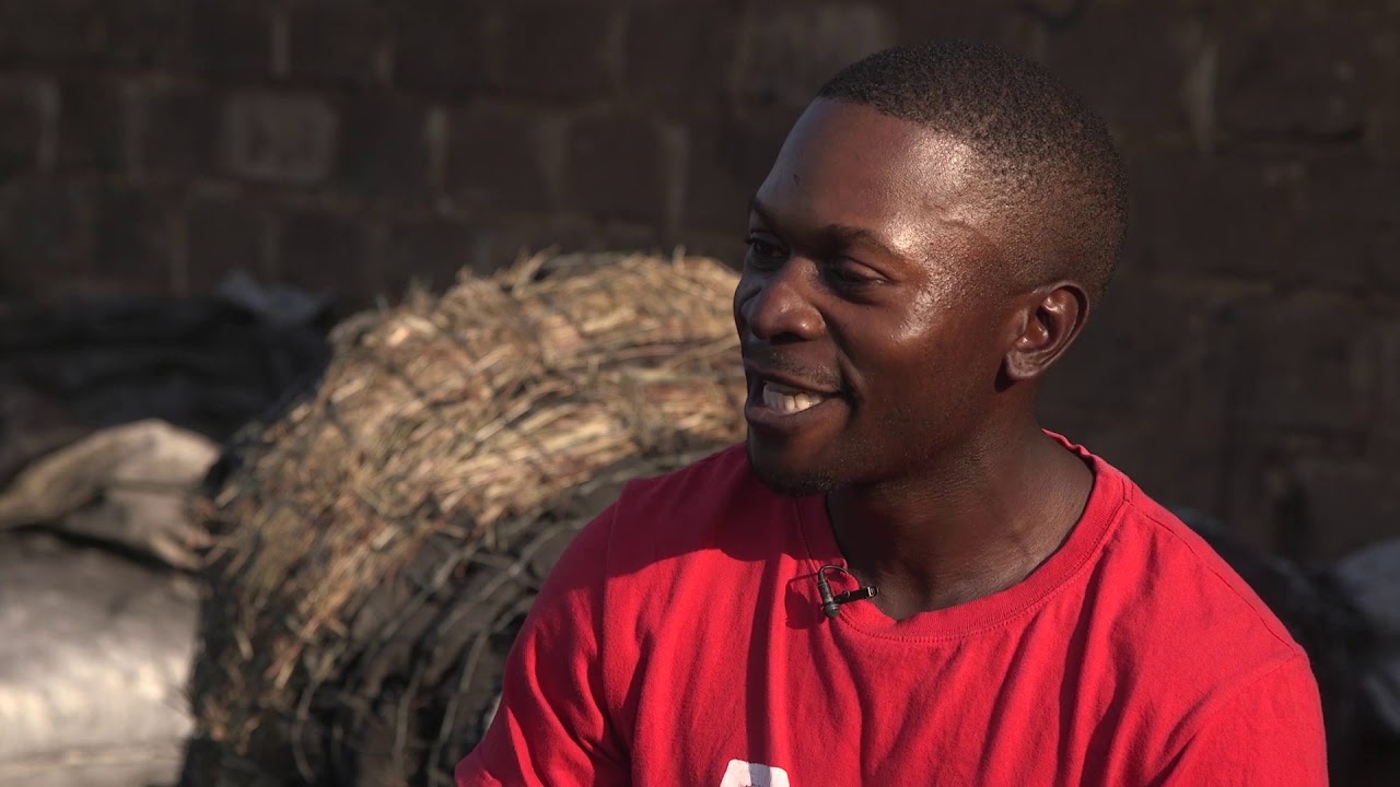 Zambia's graduate unemployment hell