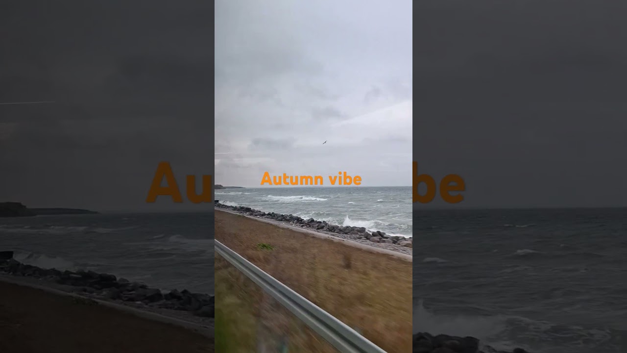 Autumn vibe cold and windy 