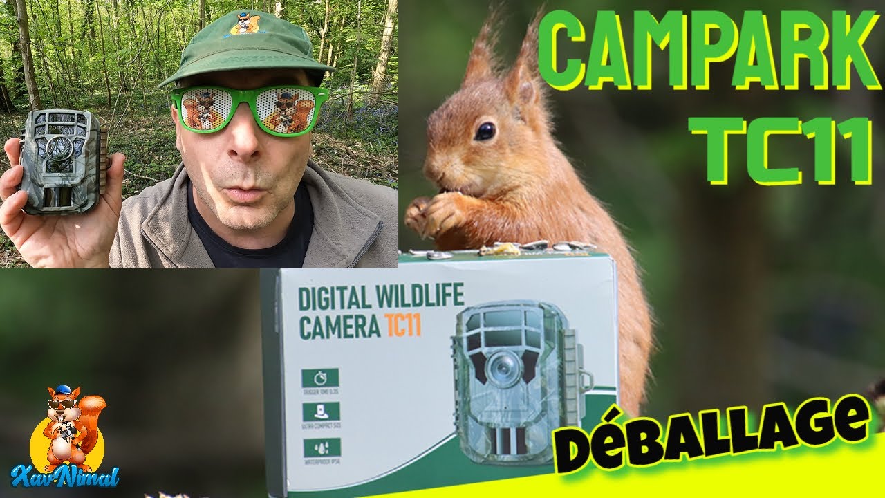 MNI CAMéRA CHASSE ▬📸▬ CAMPARK TC11 #campark