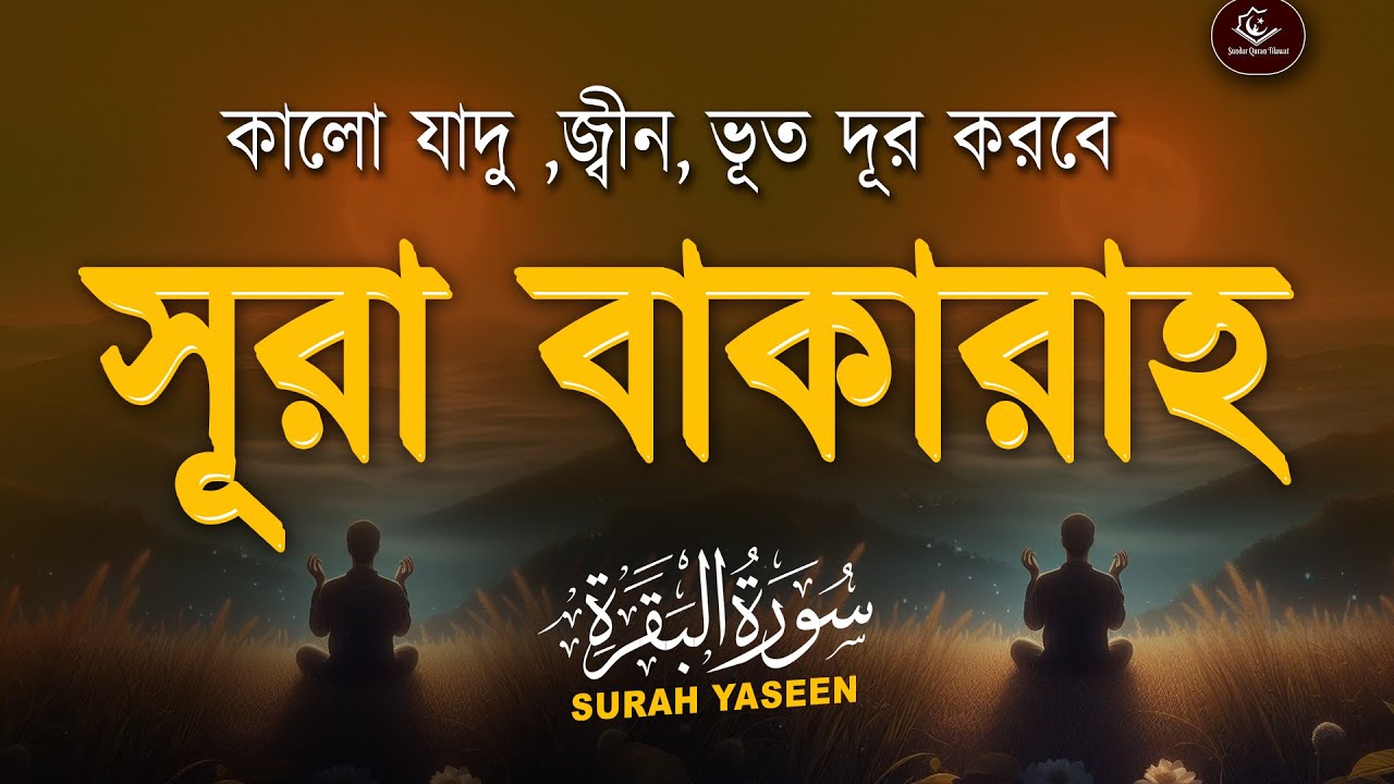 সূরা আল বাকারা  তিলাওয়াত । Surah Baqarah سورة البقرة । Best Relaxing Healing Recitation by Alaa Aql