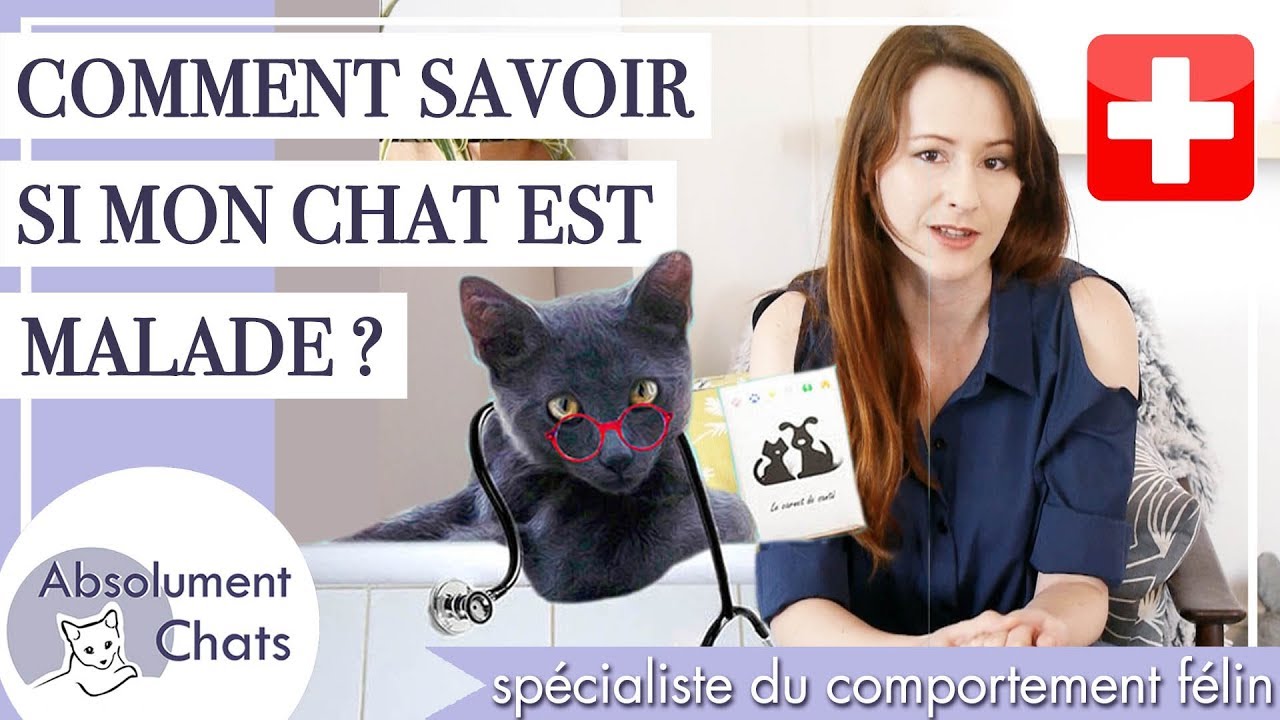comment savoir si mon chat est malade